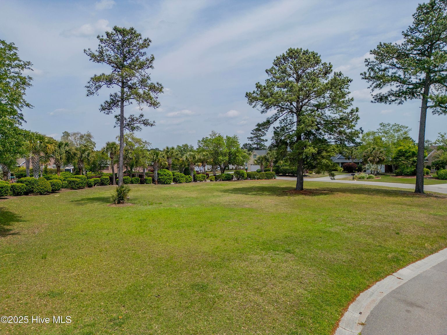 1007 Natural Springs Way Leland, NC 28451 - Thumbnail 3