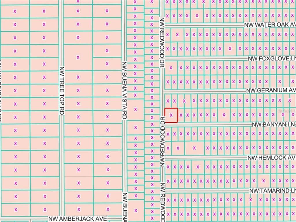 Lots 65 & 66 Nw Banyan Ln LOT 65 Dunnellon, FL 34431 - Thumbnail 3
