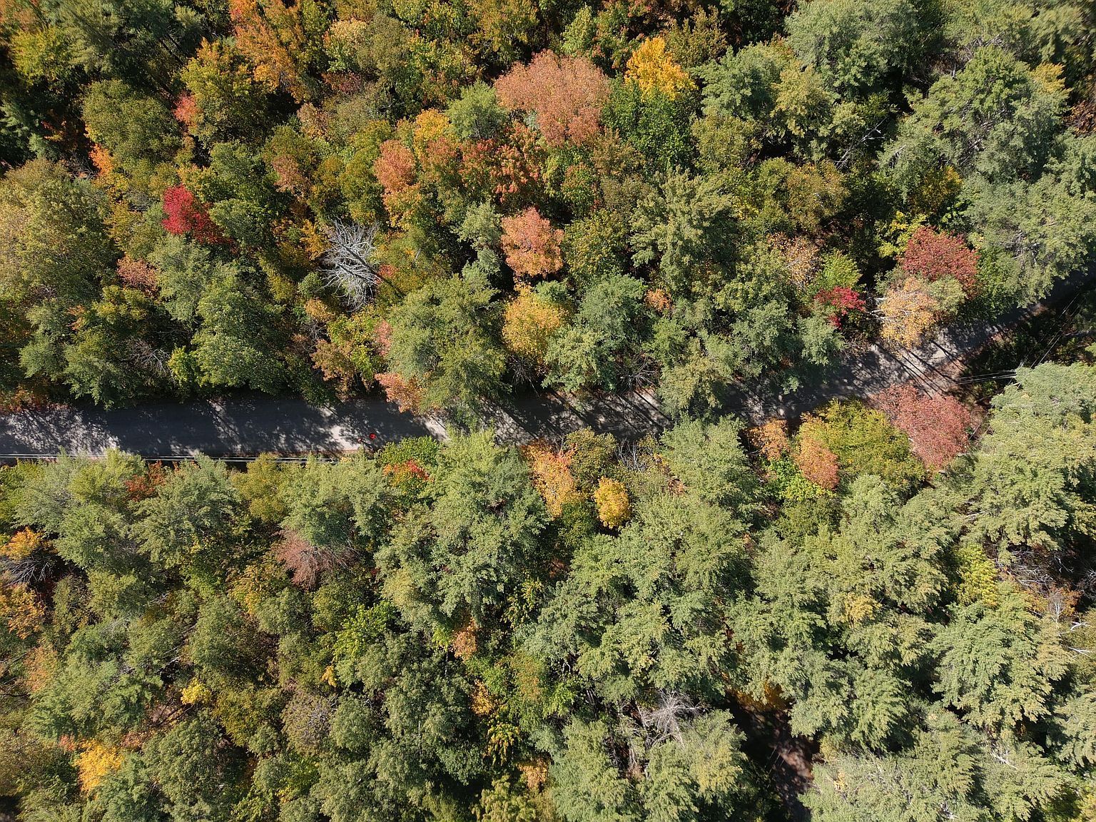 Map5 Hardwood Ln LOT 39 Fairfield, ME 04937 - Thumbnail 3