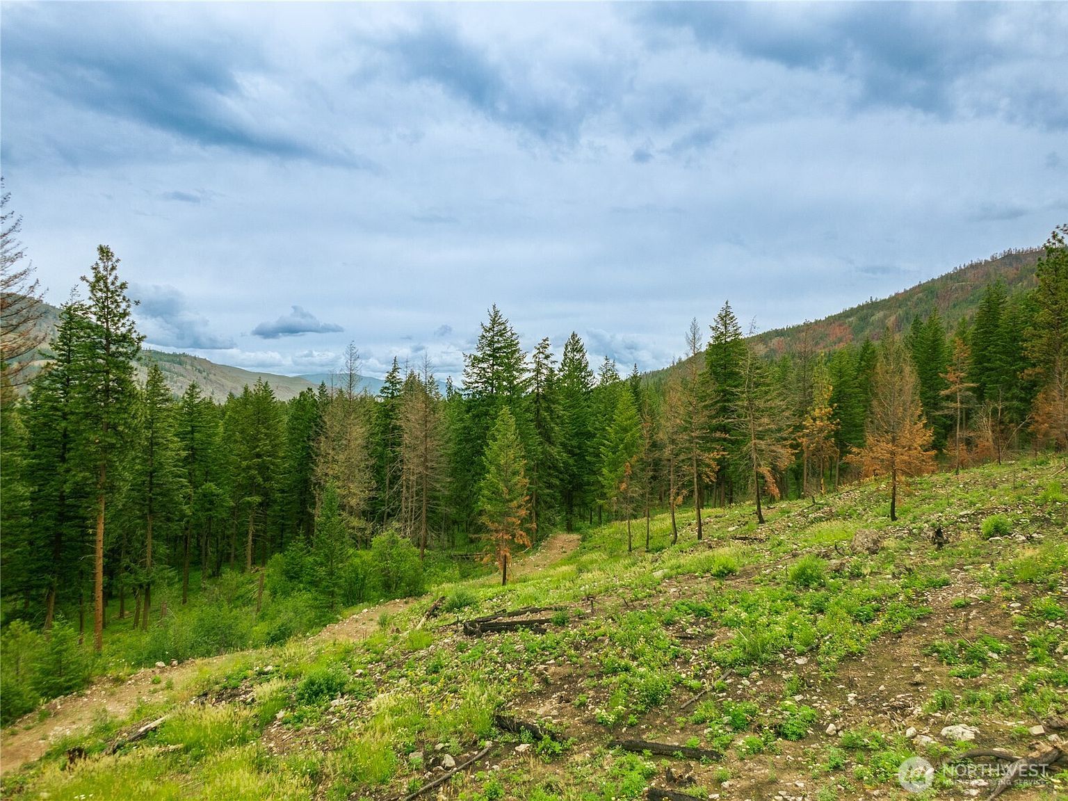 0 Wolf Creek Rd Mazama, WA 98833 - Thumbnail 3