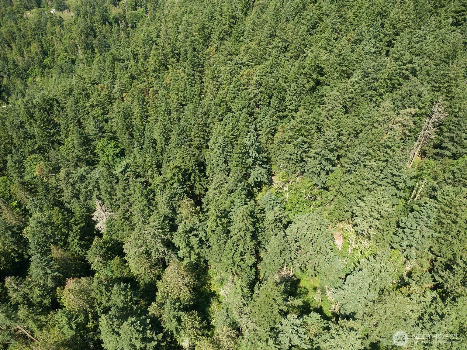 7280 Muriel Ln Anacortes, WA 98221 - Thumbnail 3