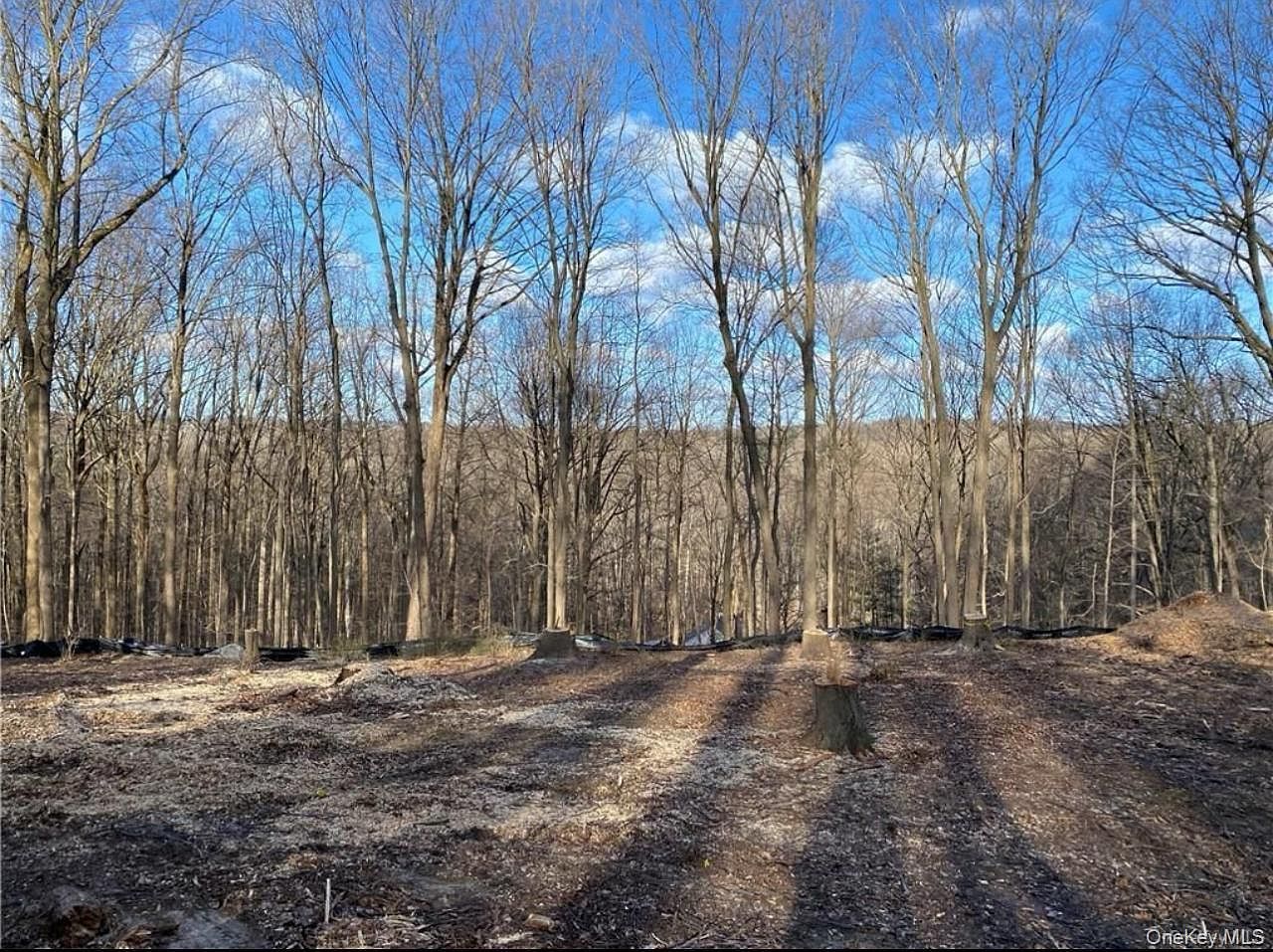 11 Whippoorwill Ln Armonk, NY 10504 - Thumbnail 3