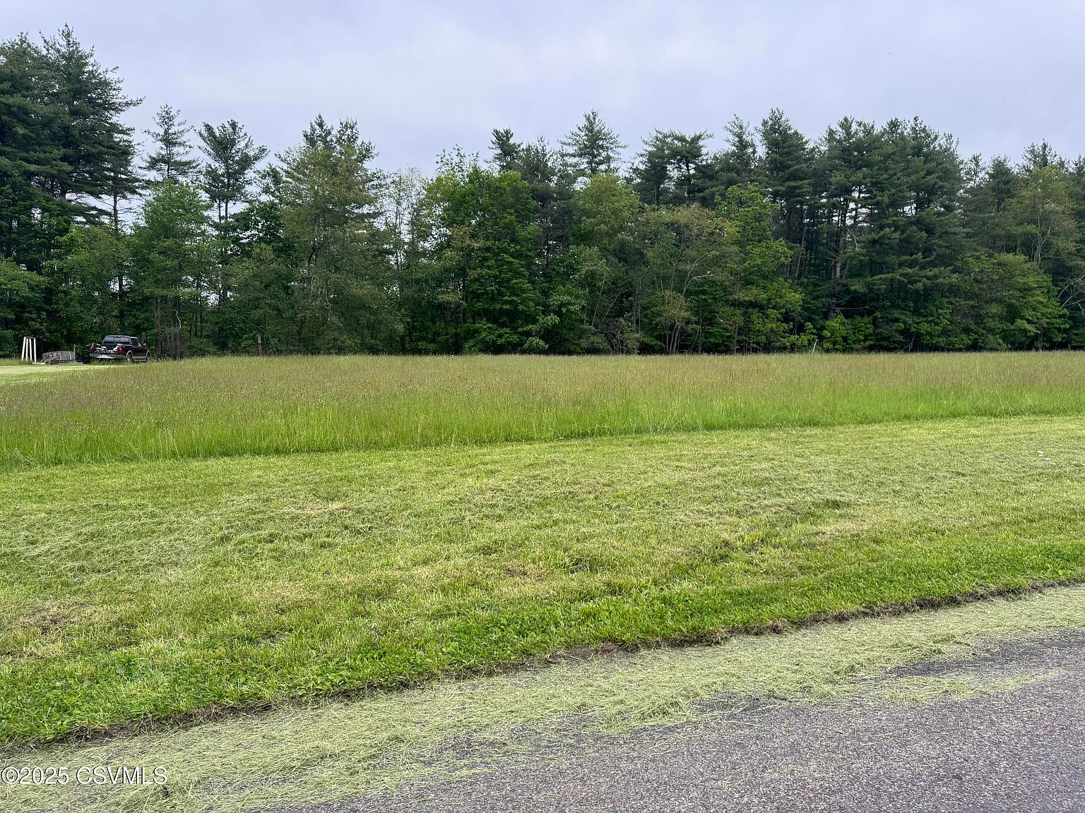 3 Mountain View Sweet Valley, PA 18656  | Land/Lot