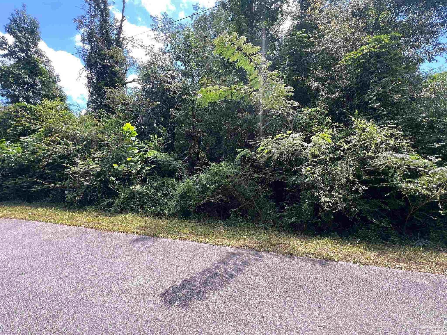 1100 Blk McKinnonville St Molino, FL 32577 - Thumbnail 3