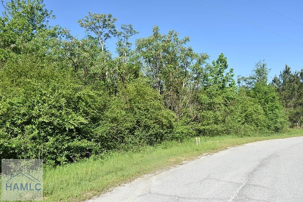 27 Chestnut Ln Garfield, GA 30425 - Thumbnail 3