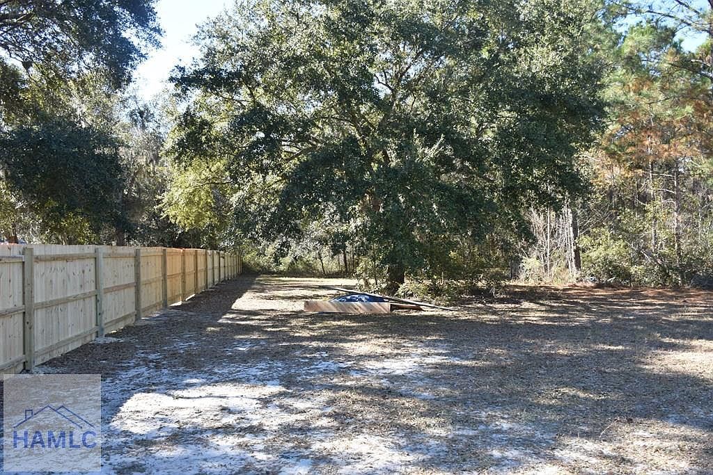 0 Barrett Cemetery Rd NE Ludowici, GA 31316 - Thumbnail 3