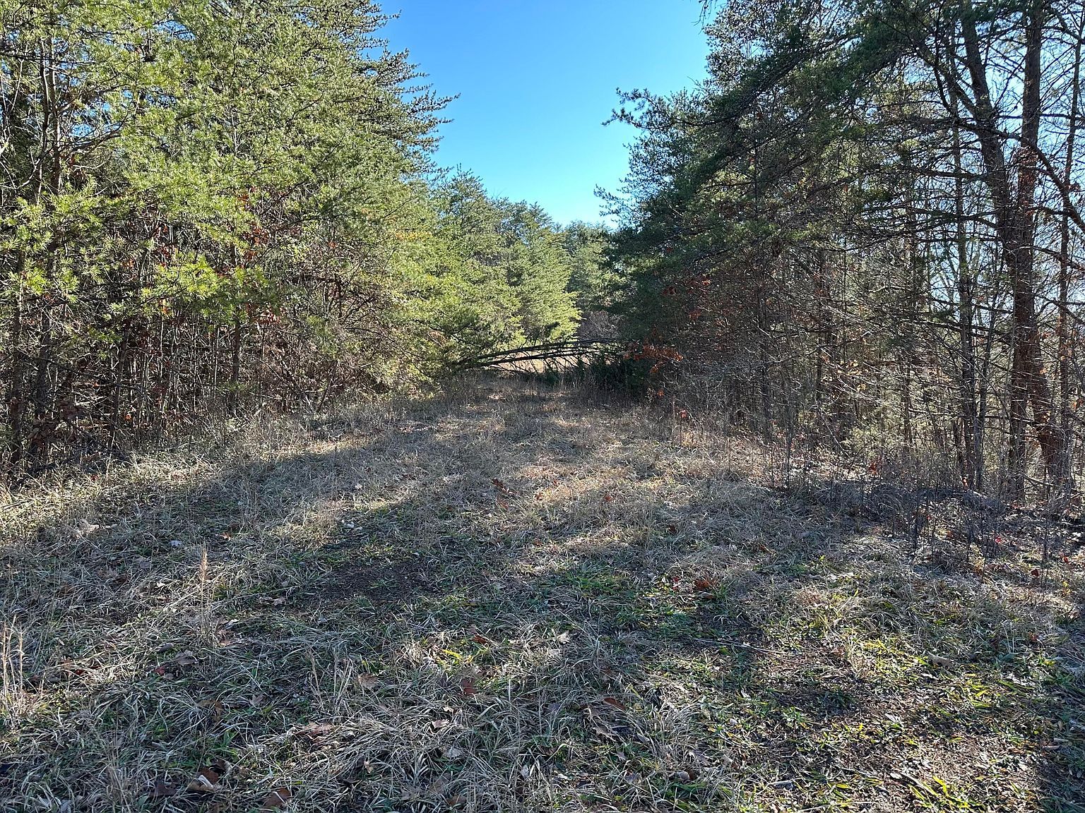 907 Sharp Rd Sevierville, TN 37876 - Thumbnail 3