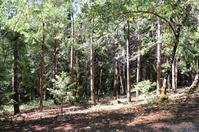 11499 Lower Pine Hill Drive, Grass Valley, CA, USA, 95945 - Thumbnail 3