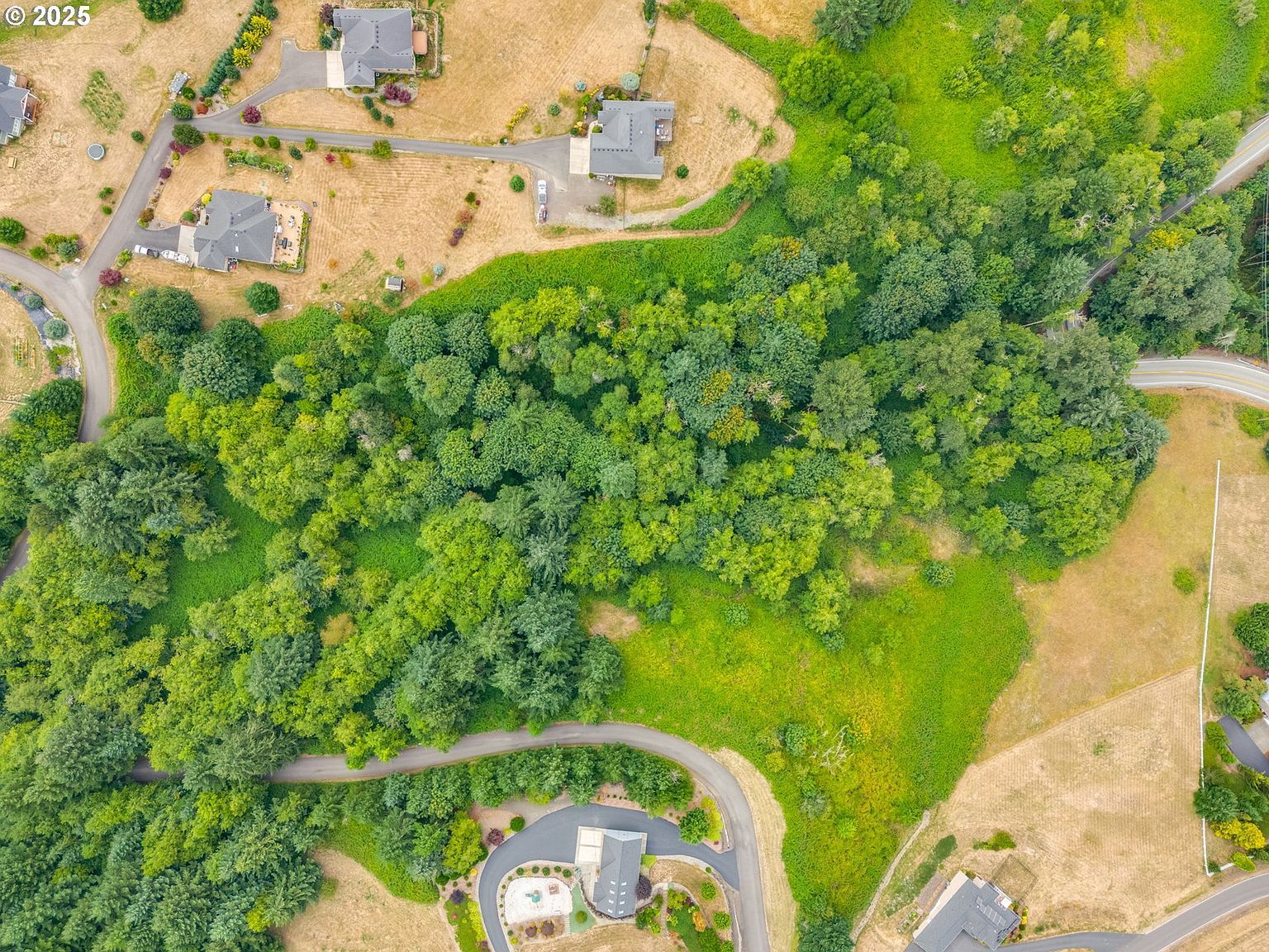 4950 Green Mountain Rd Kalama, WA 98625 - Thumbnail 3