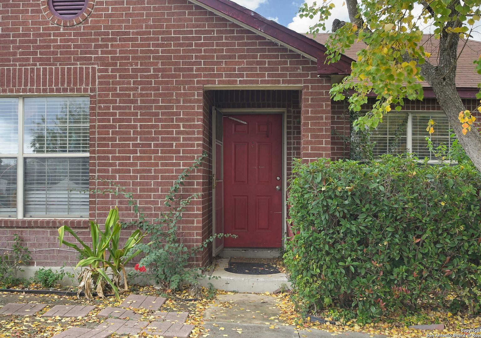 5943 Tree View St San Antonio, TX 78220 - Thumbnail 3