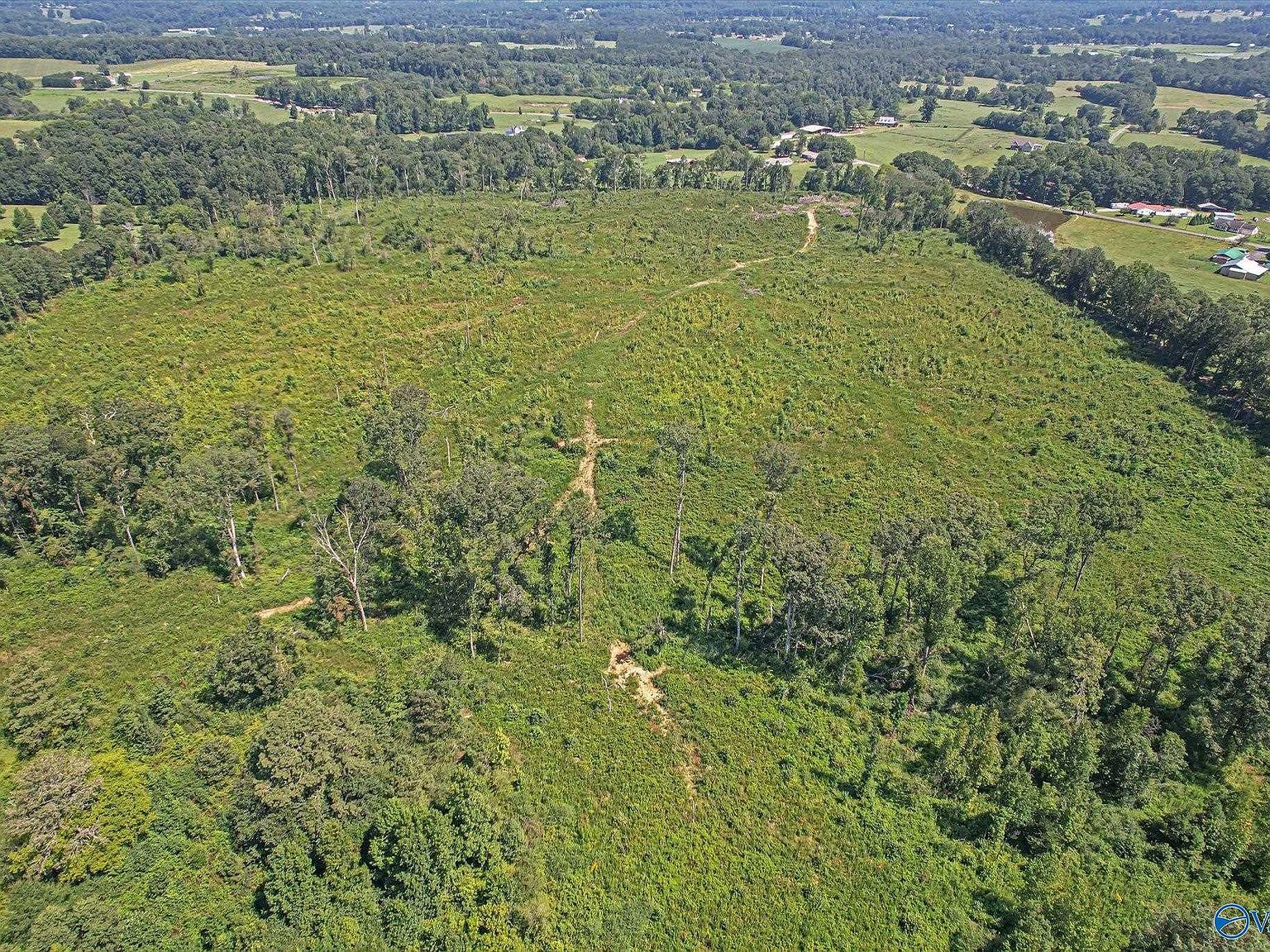 69/ACRE S Beulah Rd Boaz, AL 35957 - Thumbnail 3