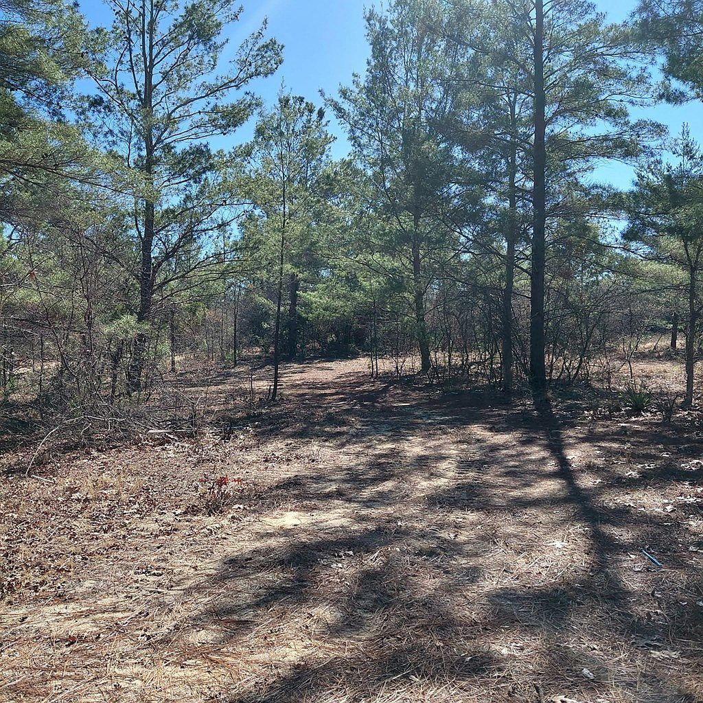 100 Sparrow Dr Box Springs, GA 31801 - Thumbnail 3