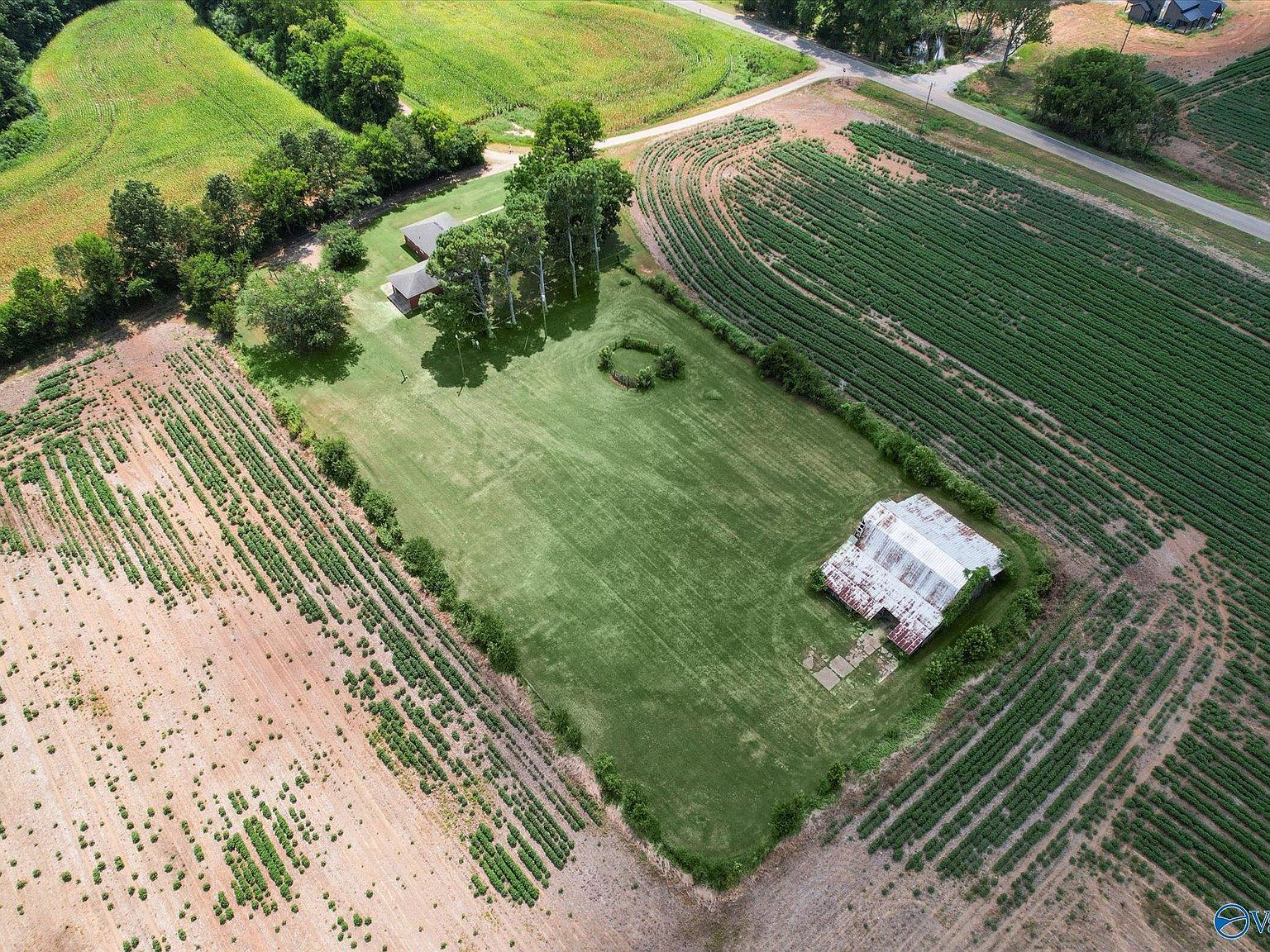 2360 County Road 29 Moulton, AL 35650 - Thumbnail 3