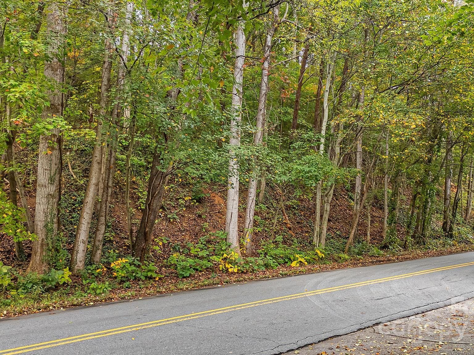 455 Governors View Rd Asheville, NC 28805 - Thumbnail 3