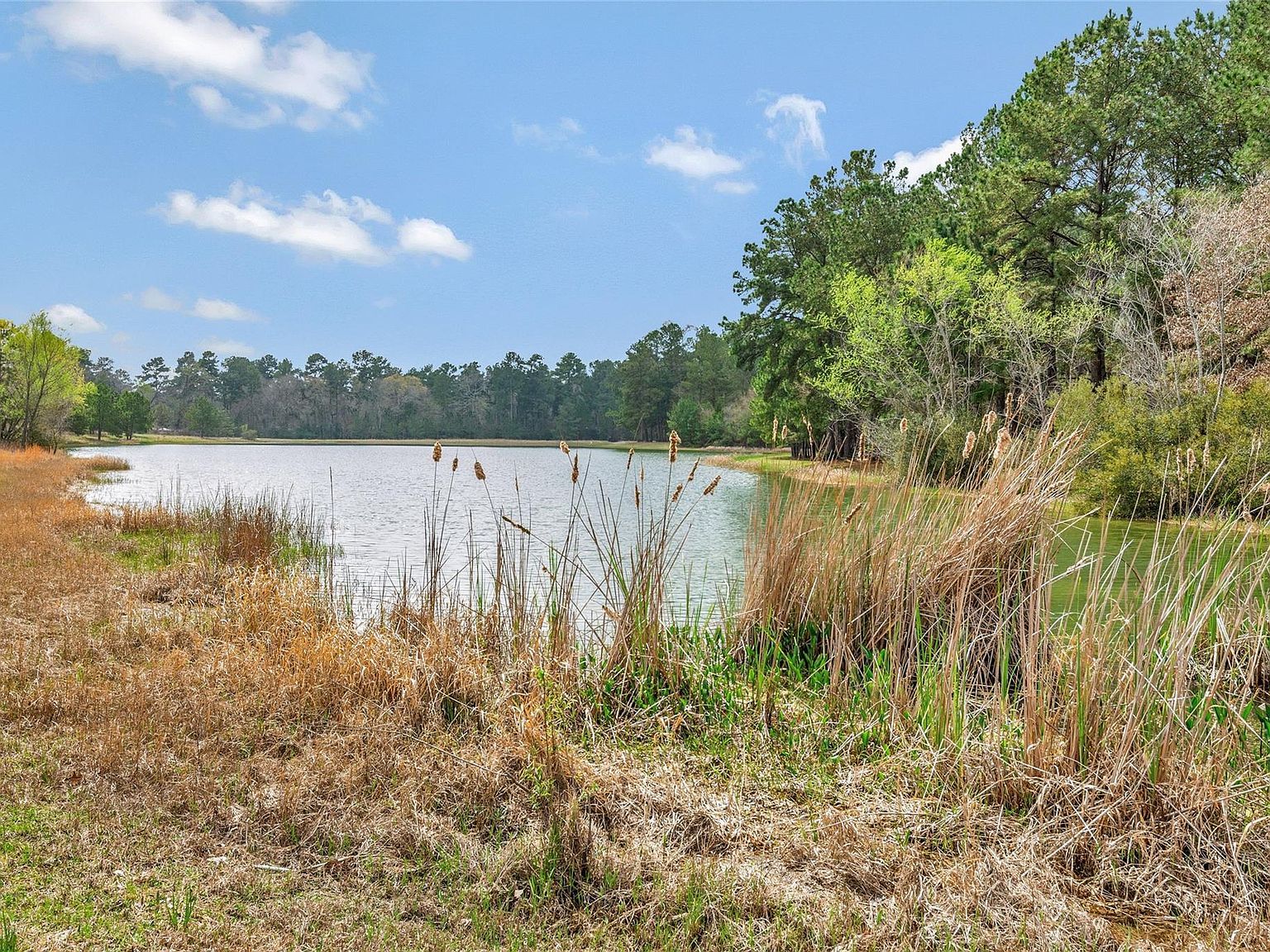 26500 Saddle Horn Dr Waller, TX 77484 - Thumbnail 3