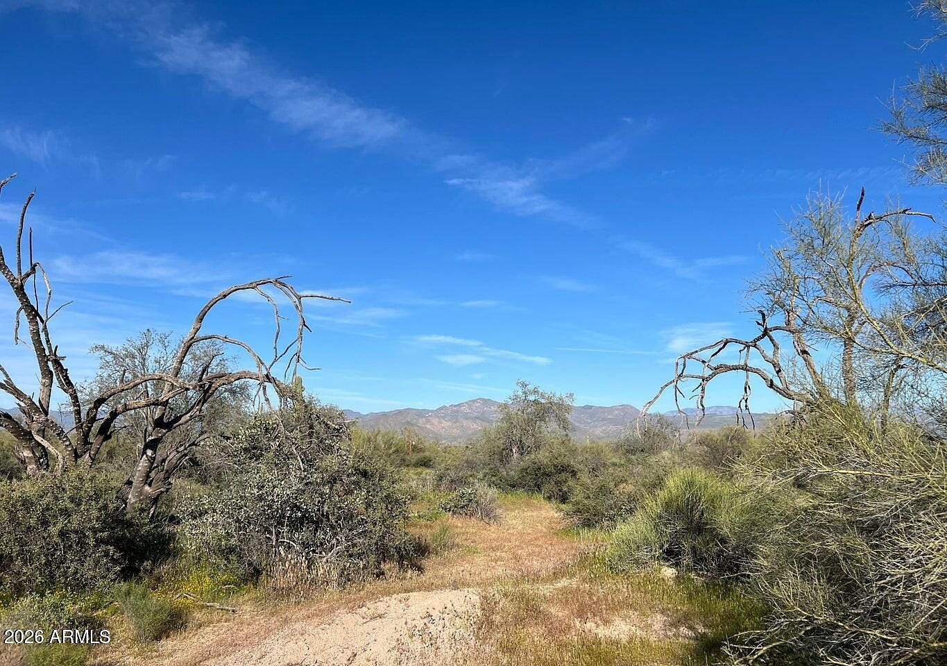 168XX N 168th St E Rio Verde, AZ 85263 - Thumbnail 3