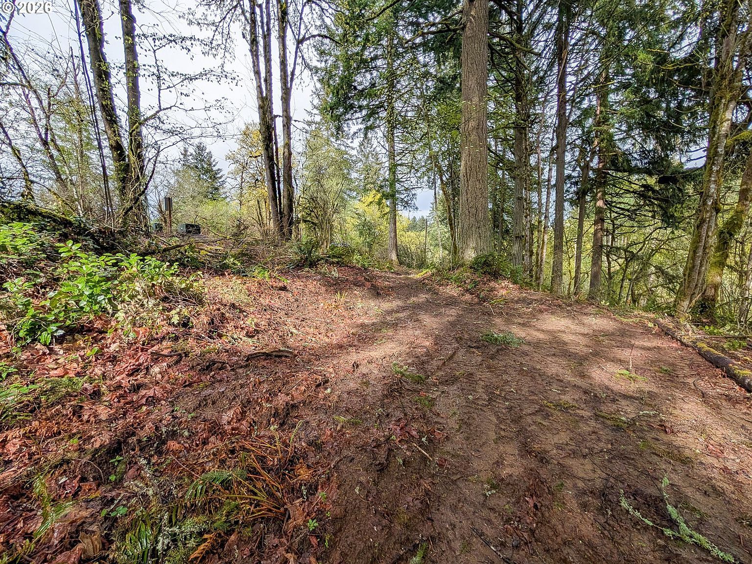 0 NE Finalburg Rd La Center, WA 98629 - Thumbnail 3