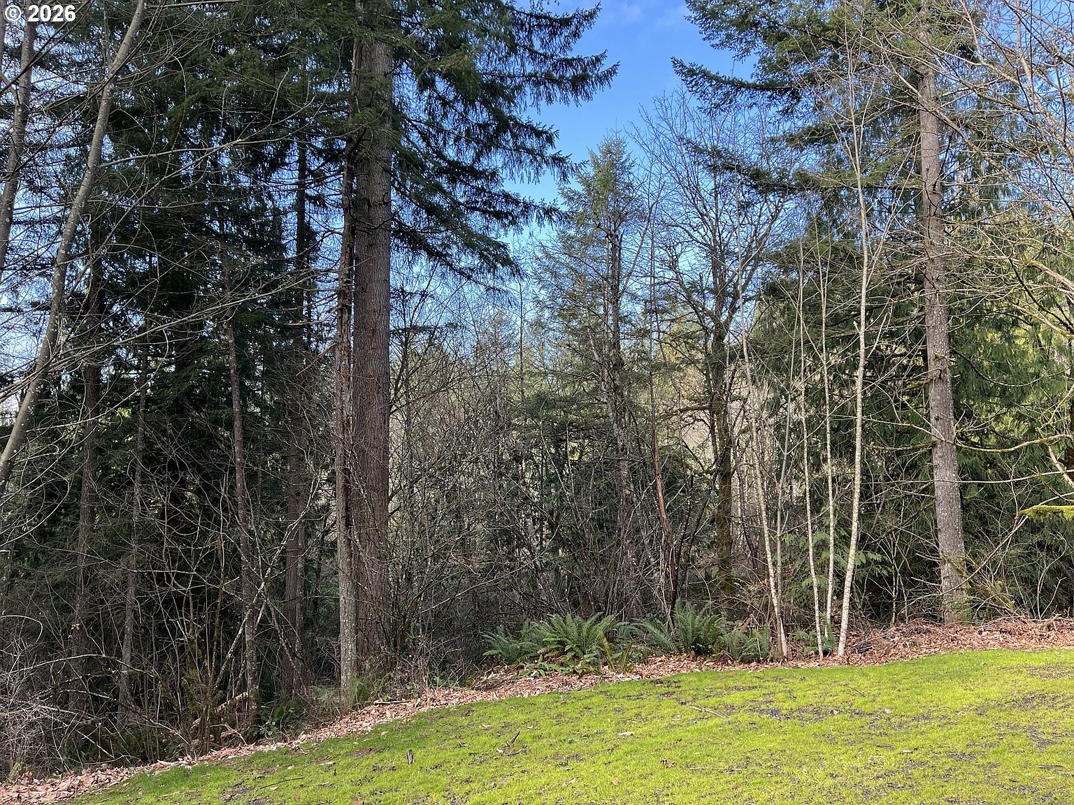 0 NE Schauer Dr Battle Ground, WA 98604 - Thumbnail 3