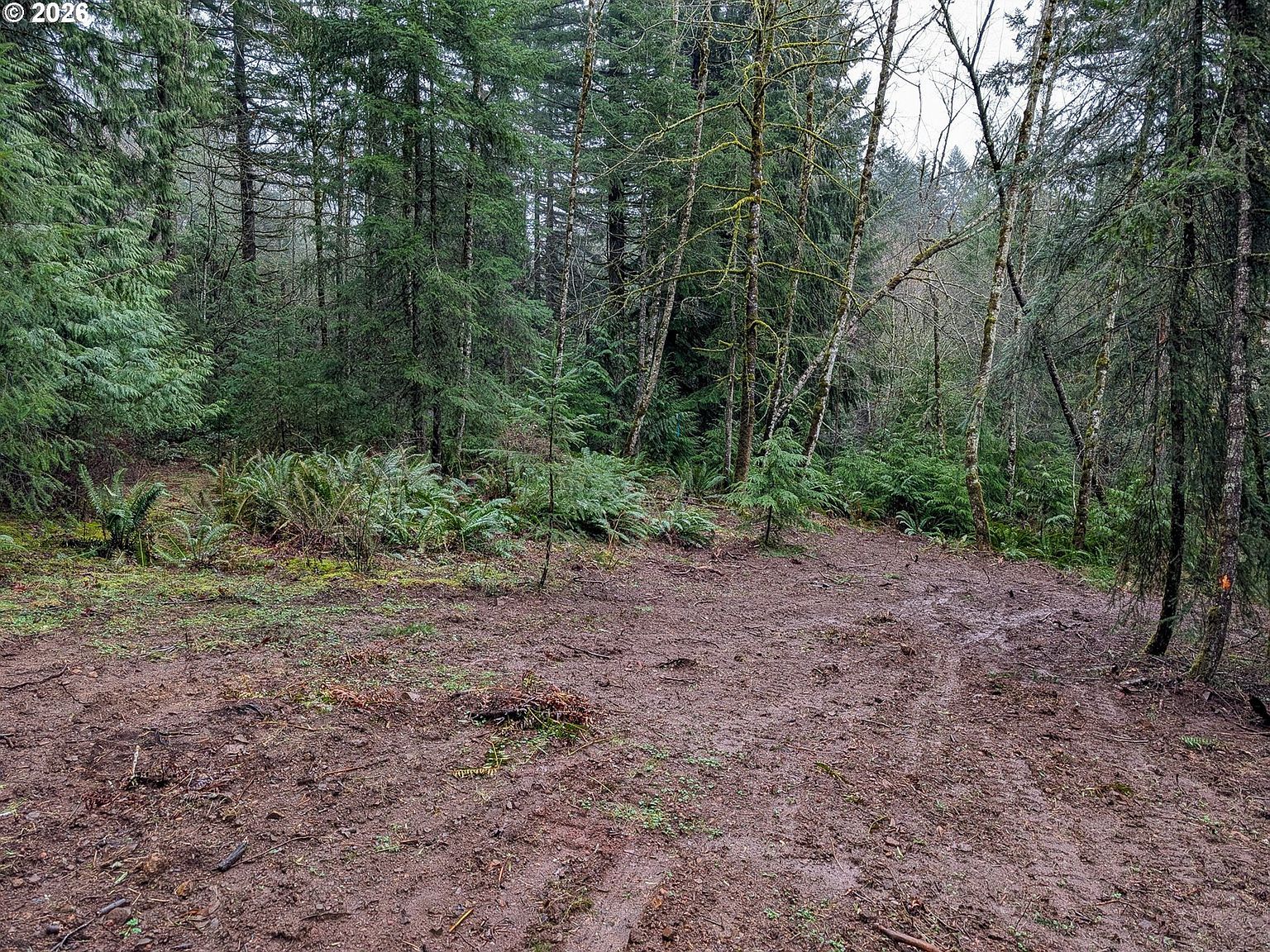 0 NE Berry Rd Battle Ground, WA 98604 - Thumbnail 3