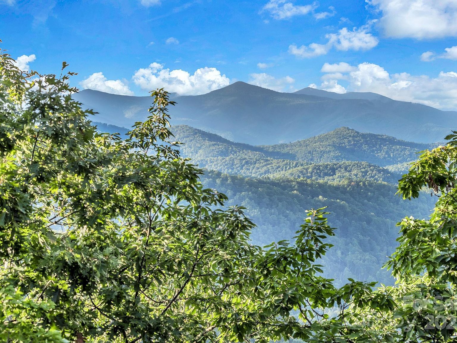 875 Creston Dr Black Mountain, NC 28711 - Thumbnail 3