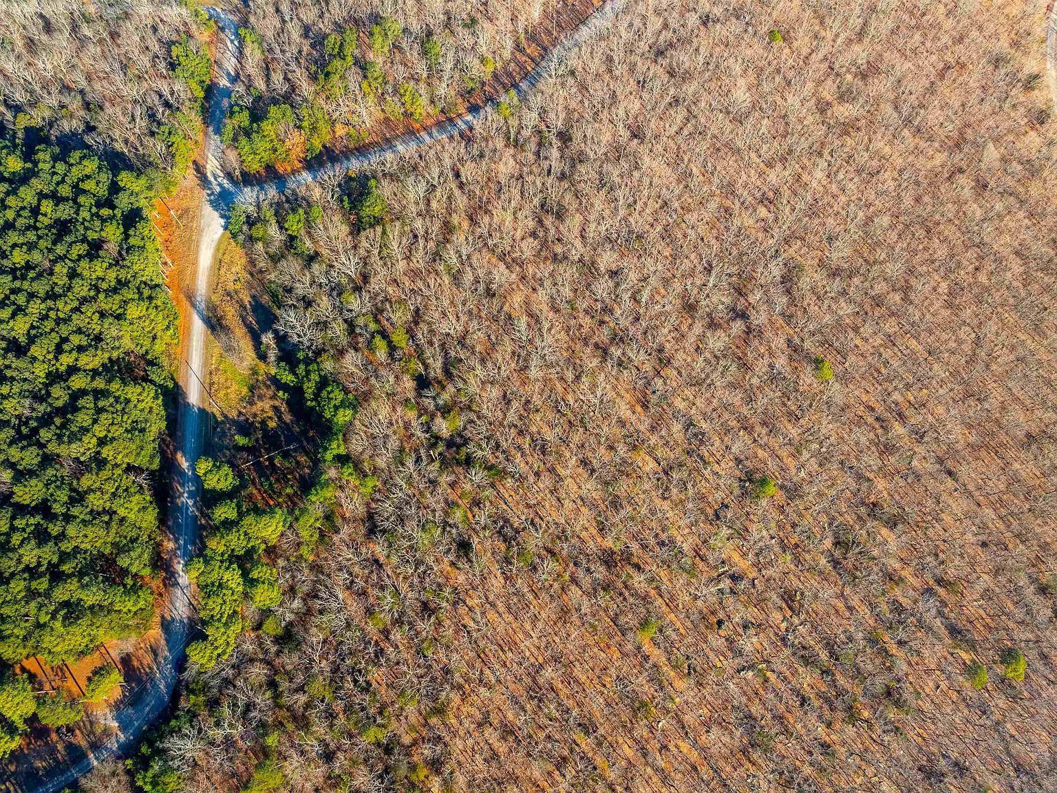 Castle Dr Batesville, AR 72501 - Thumbnail 3