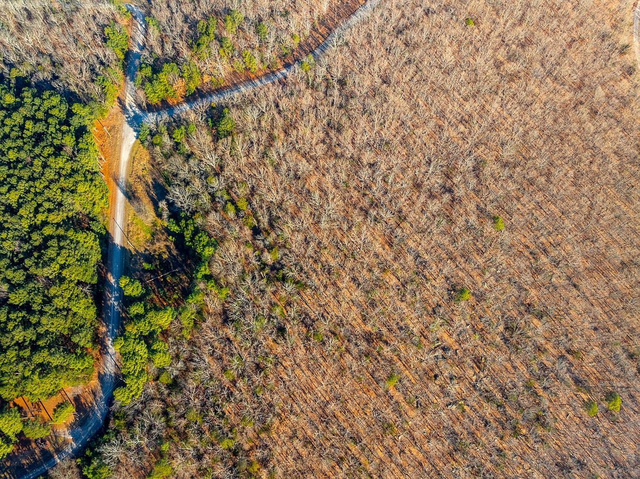 (undisclosed Address), Batesville, AR, 72501 - Thumbnail 3