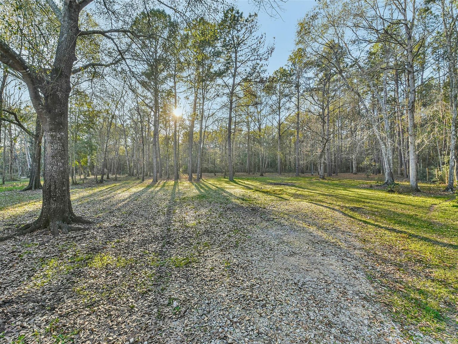 150 Maurine Ln Cleveland, TX 77328 - Thumbnail 3