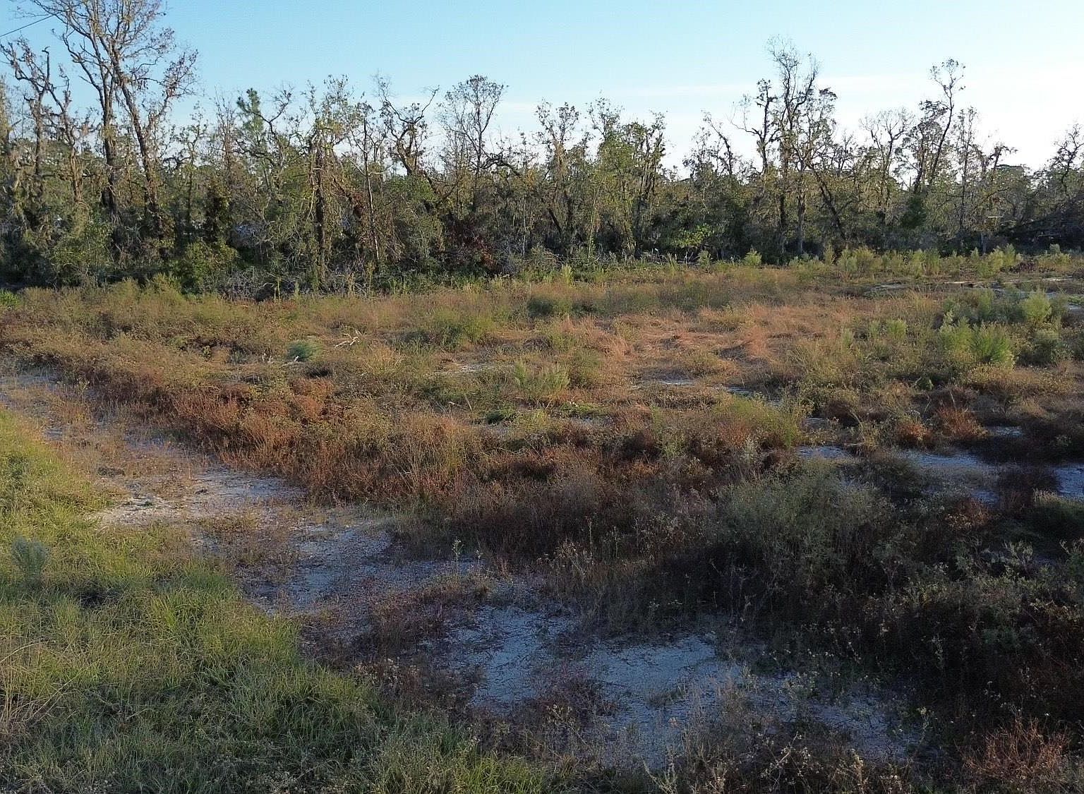 LOT 1 E Royal Oak Dr Perry, FL 32348 - Thumbnail 3