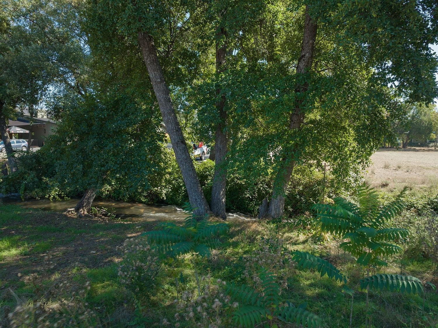 0 Murphys Oaks Dr Murphys, CA 95247 - Thumbnail 3