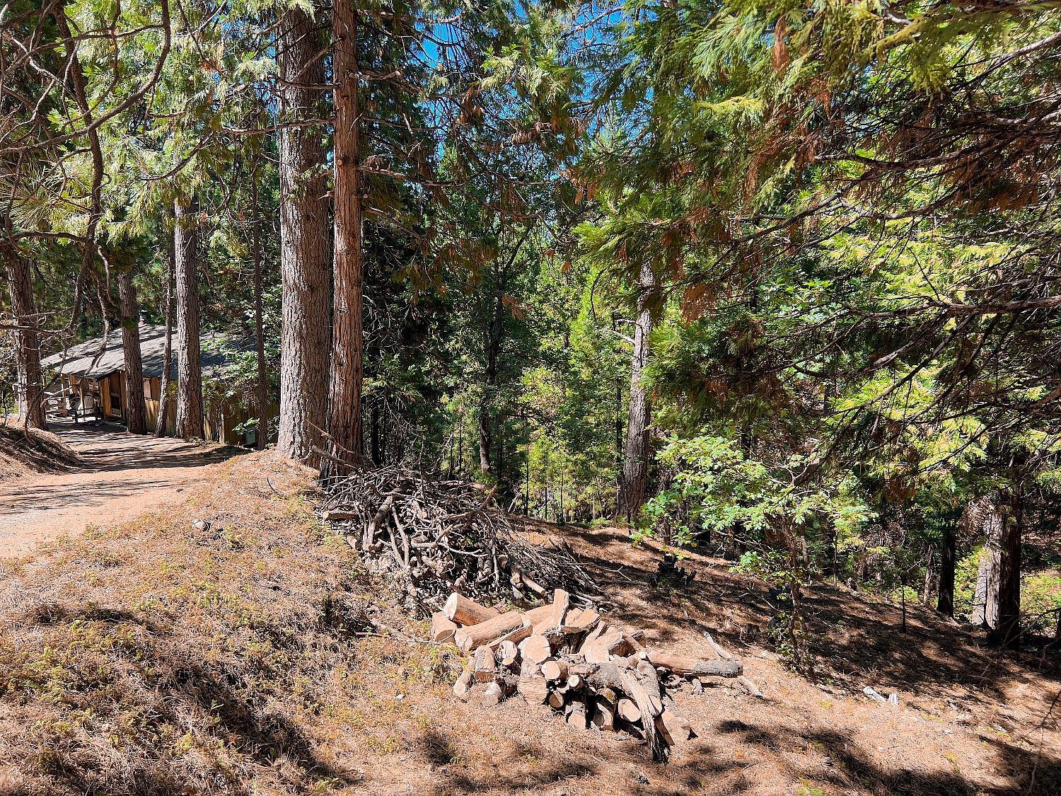 1800 Kit Carson Cir Arnold, CA 95223 - Thumbnail 3