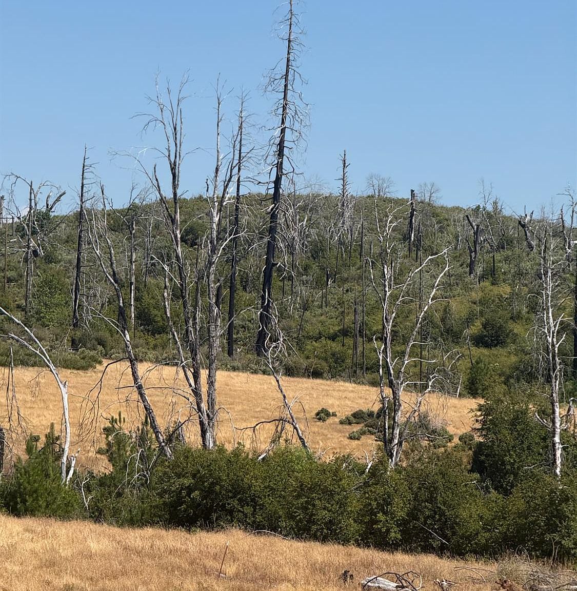 17074 Betty Kaye Ln Mountain Ranch, CA 95246 - Thumbnail 3