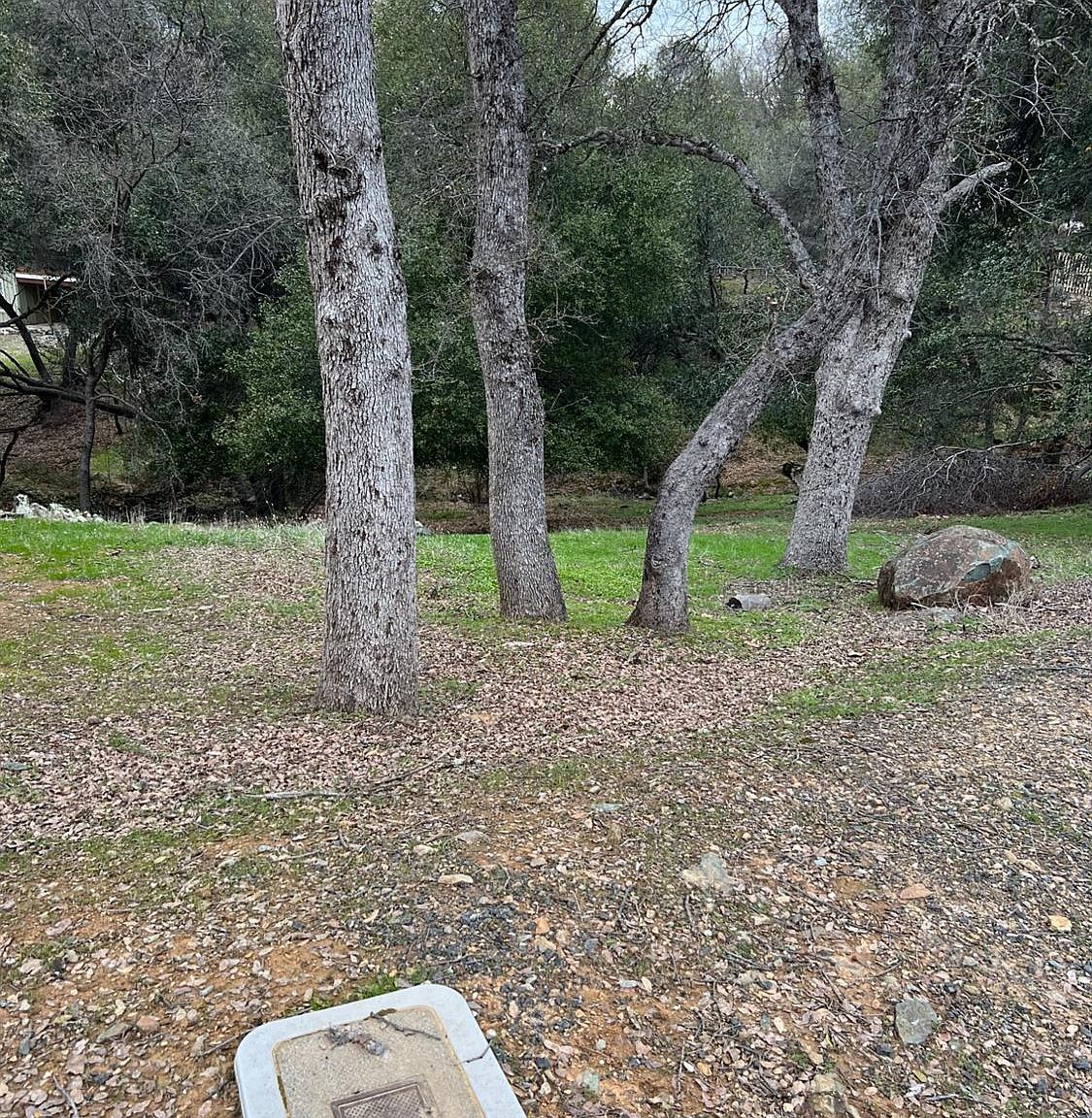 733 Grinding Rock Rd Angels Camp, CA 95222 - Thumbnail 3