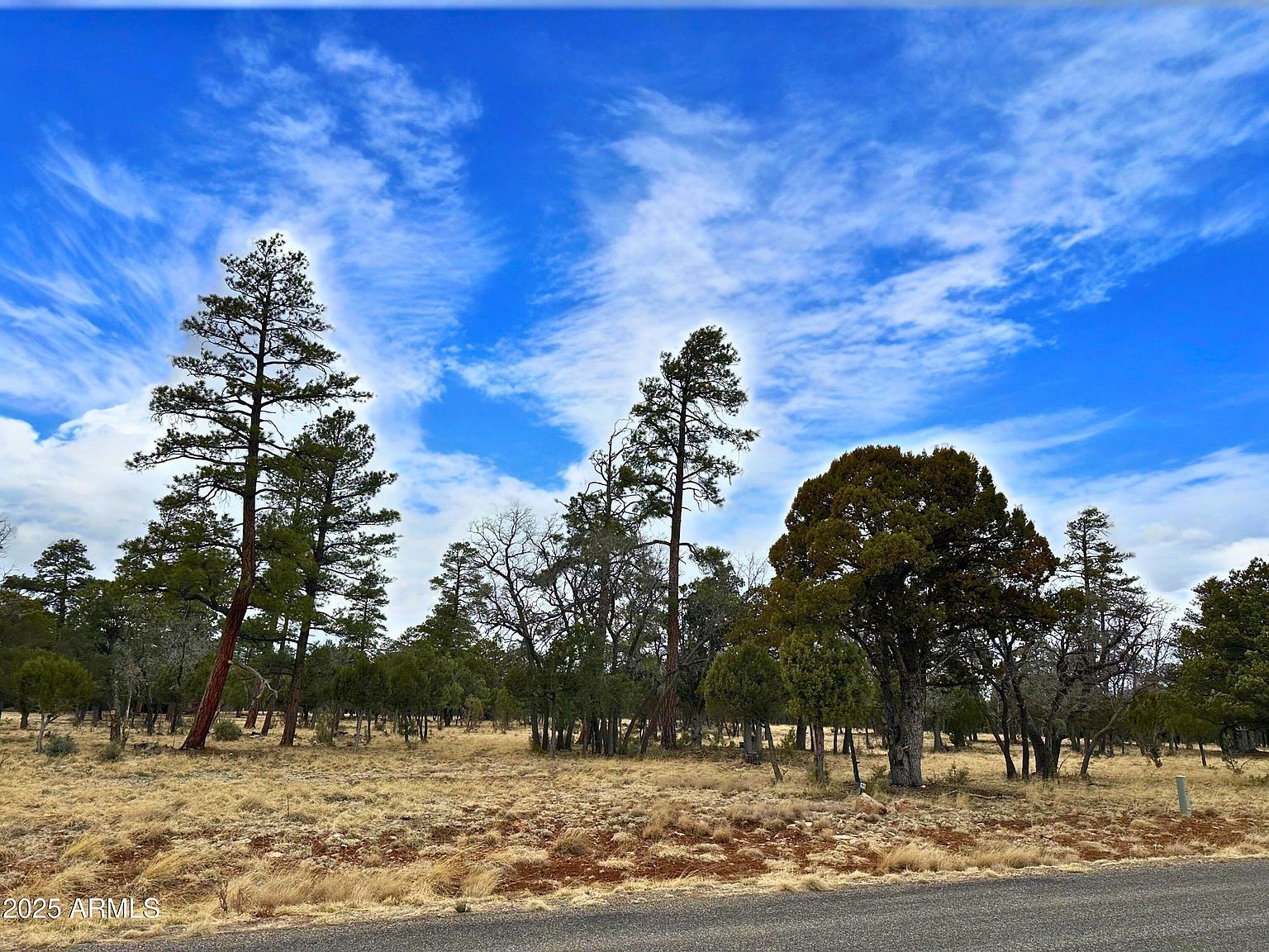 4109 Durango Dr #295 Happy Jack, AZ 86024 - Thumbnail 3