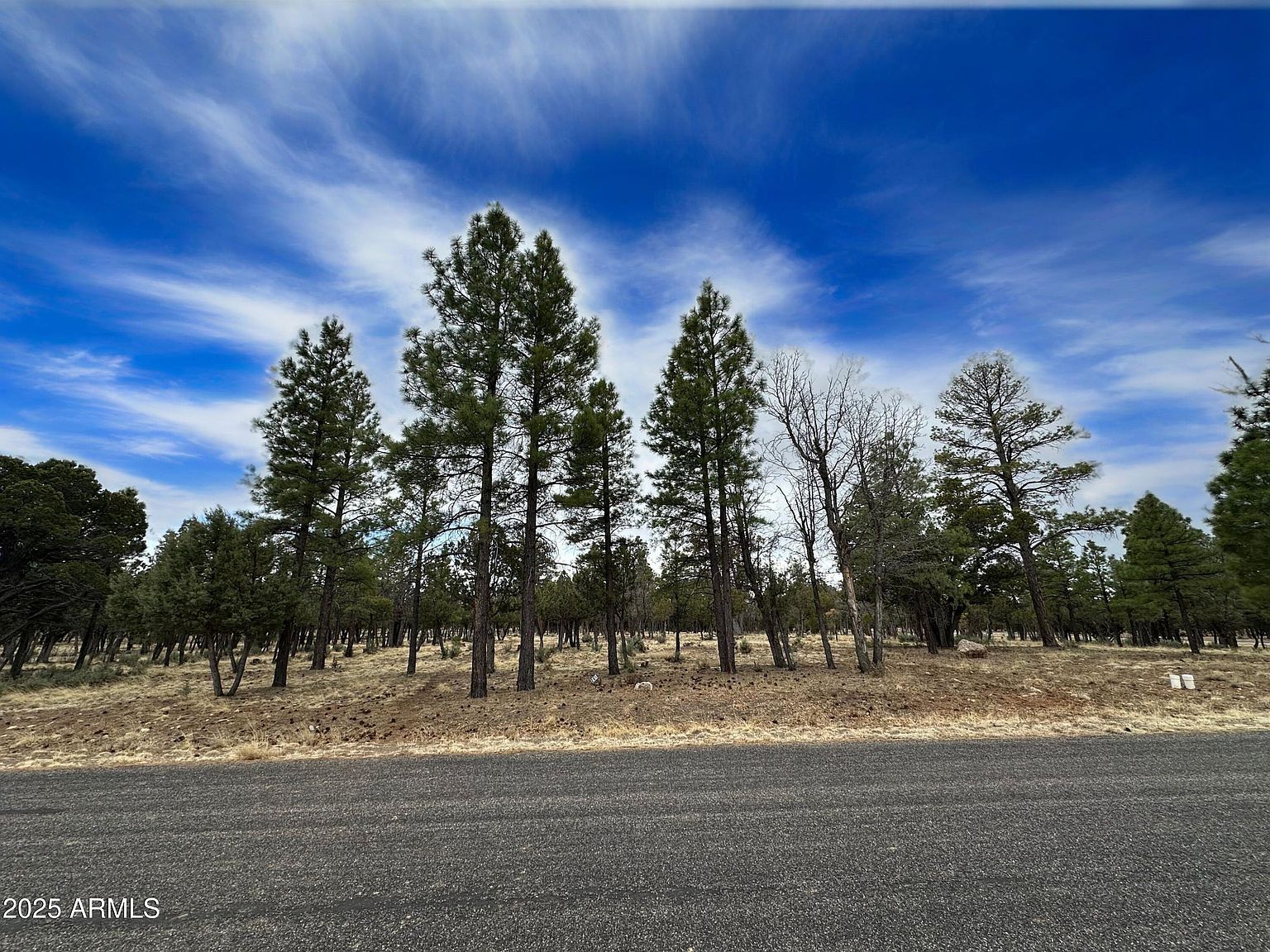 3431 Durango Dr #205 Happy Jack, AZ 86024 - Thumbnail 3