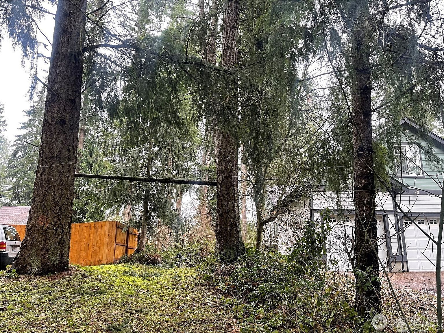 17616 Vine Ln SE Yelm, WA 98597 - Thumbnail 3