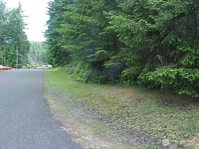 10211 Tahoma Dr Anderson Island, WA 98303 - Thumbnail 3