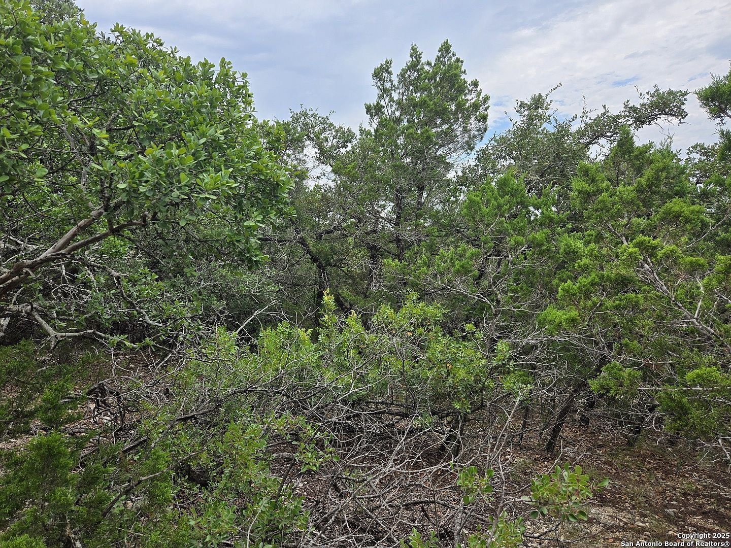 0 Beartooth Pass #31 San Antonio, TX 78255 - Thumbnail 3