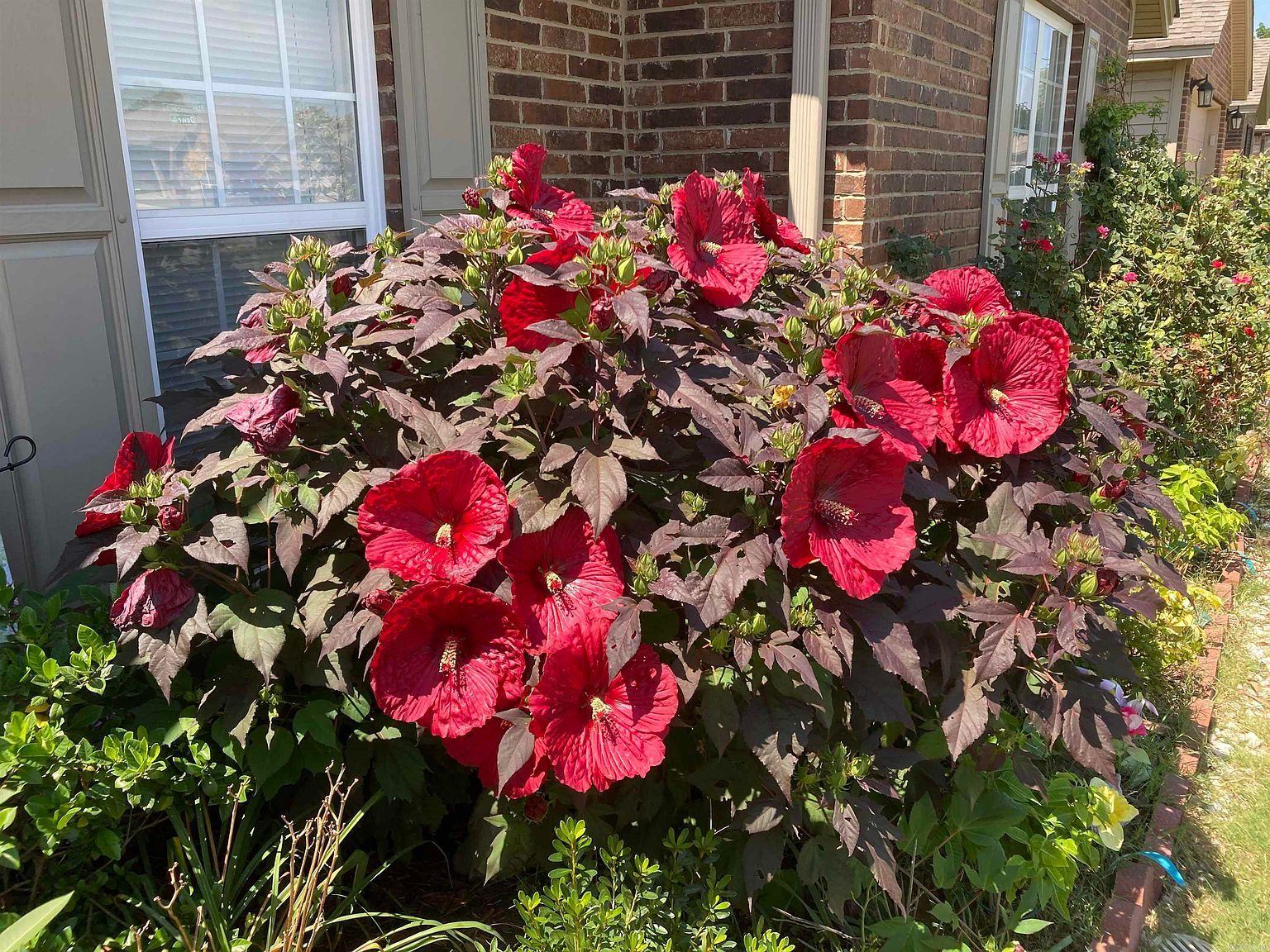 6033 Spencer Dr Jonesboro, AR 72405 - Thumbnail 3