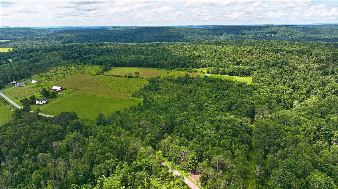 0 Painter Hill Rd Oxford, NY 13830 - Thumbnail 3