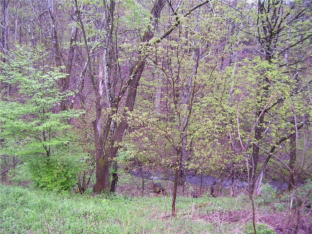 328 Whaupaunaucau Rd N Norwich, NY 13815 - Thumbnail 3