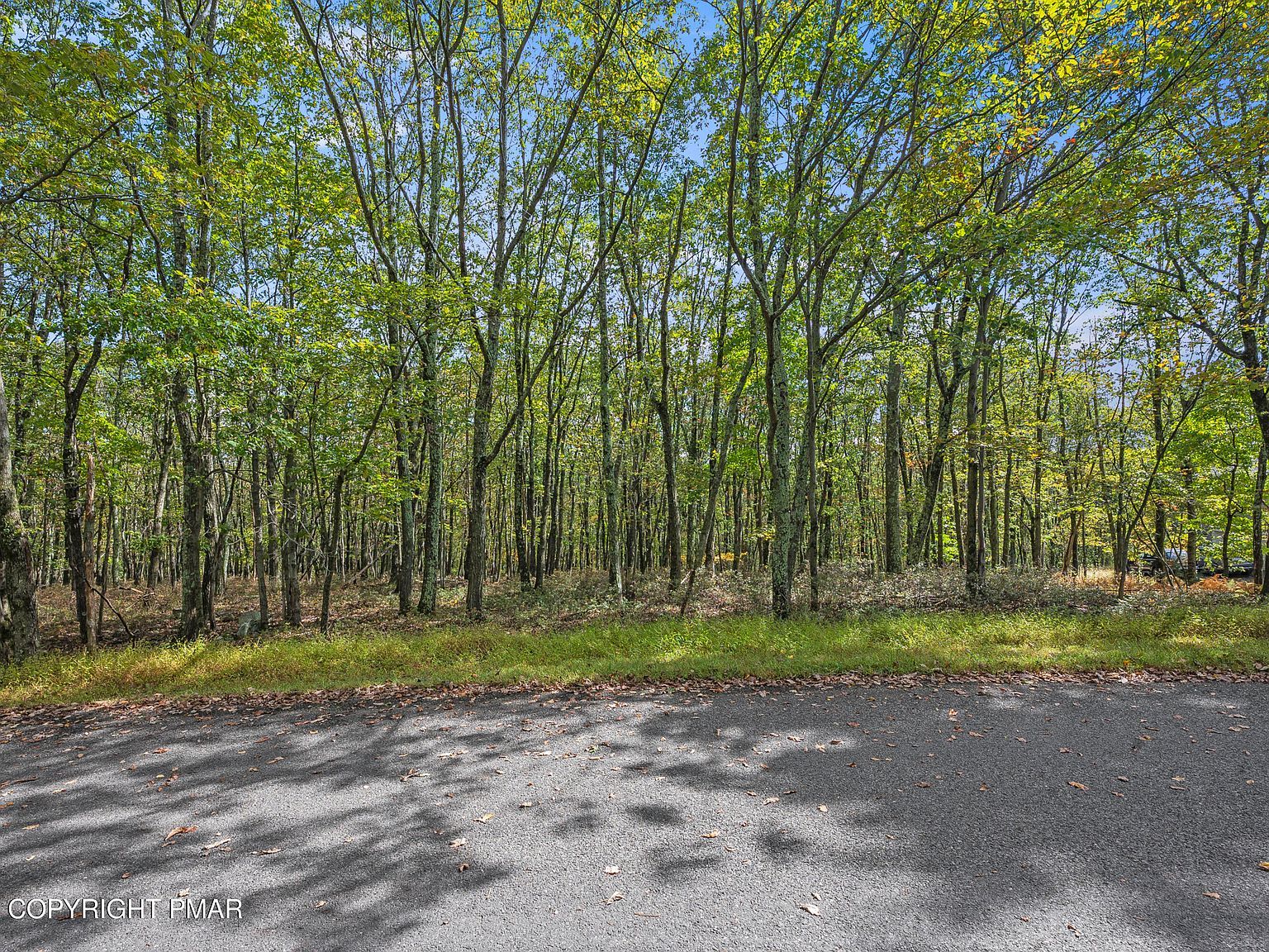 Stone Ridge Rd Albrightsville, PA 18210 - Thumbnail 3