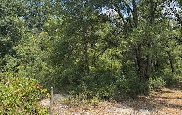 Tbd 208th St Obrien, FL 32071 - Thumbnail 3