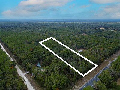 NW Highway 349 Old Town, FL 32680 - Thumbnail 3