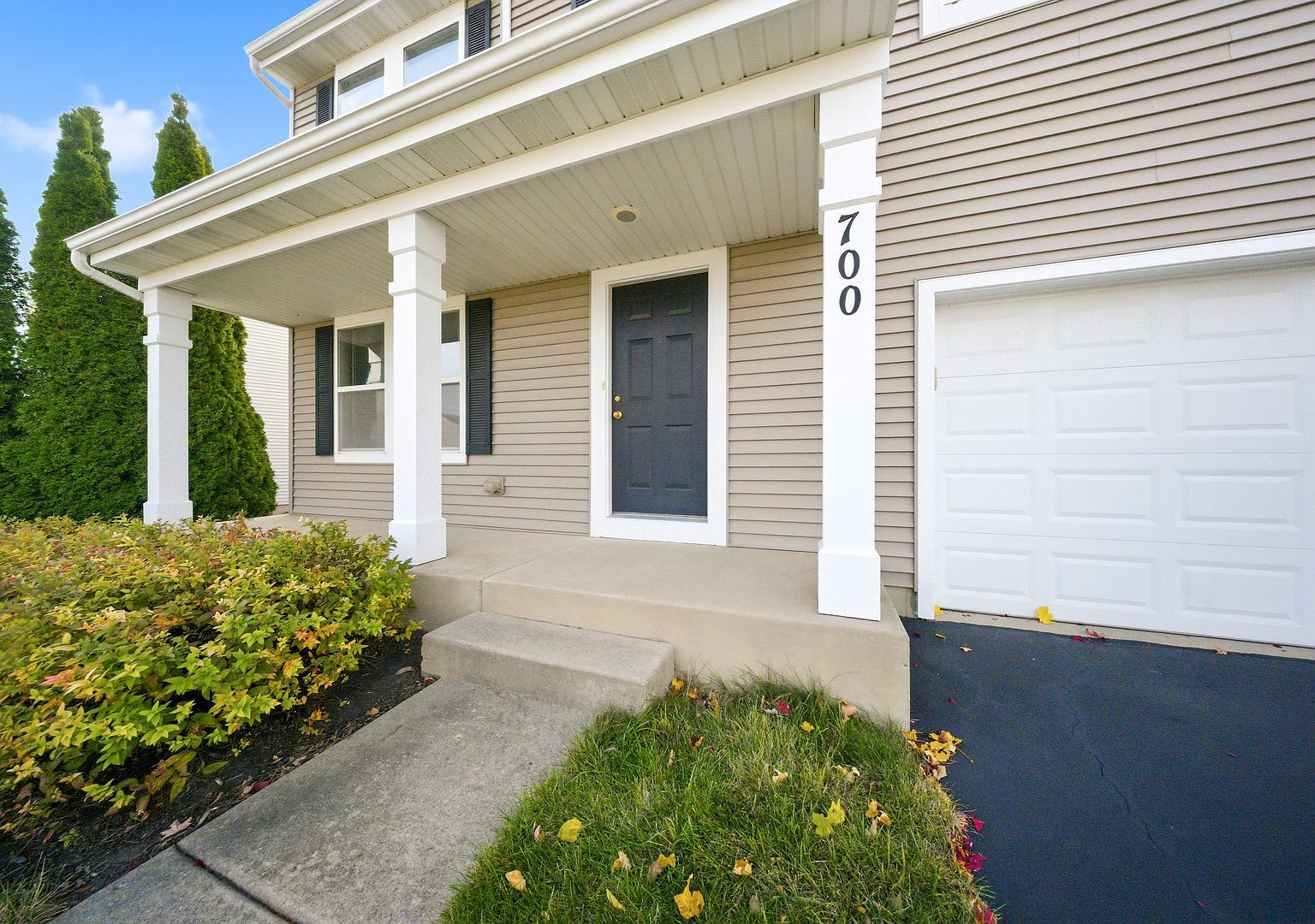 700 Brighton Dr Hampshire, IL 60140 - Thumbnail 3