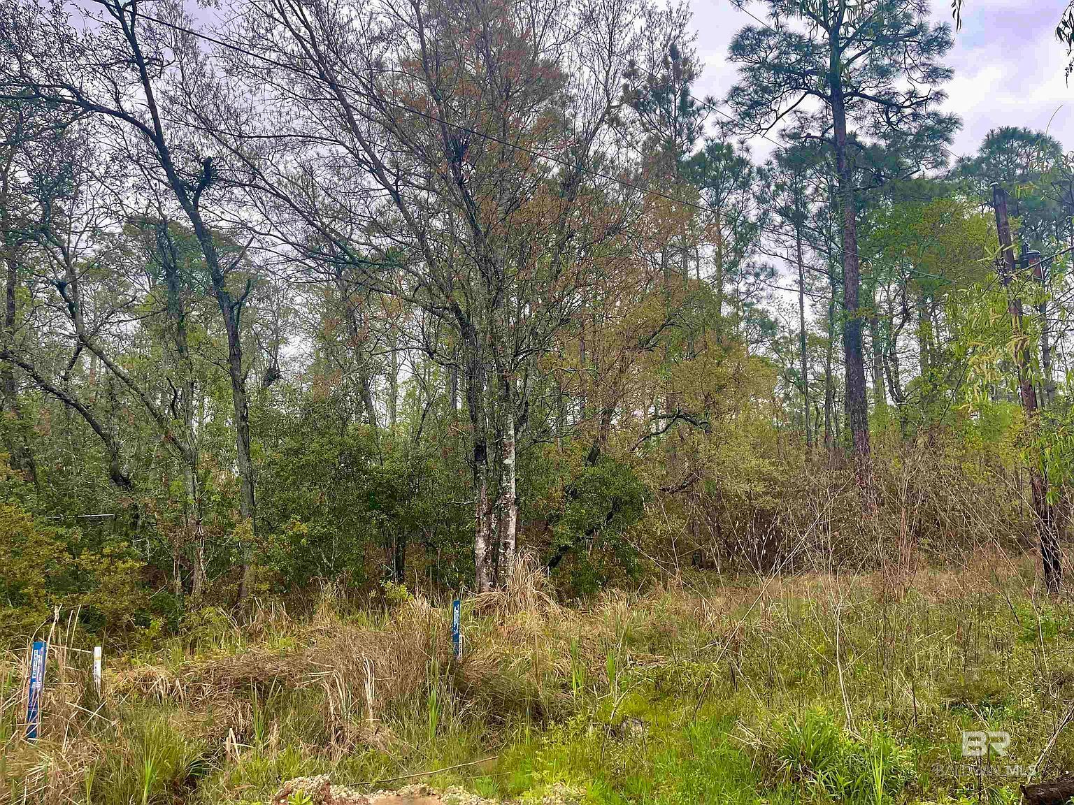 0 Michigan Ave #16-20 Coden, AL 36523 - Thumbnail 3