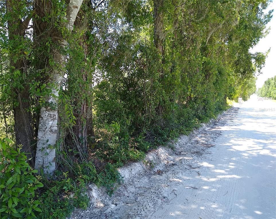 NE County Road 138 #6768, Branford, FL, 32008 - Thumbnail 3