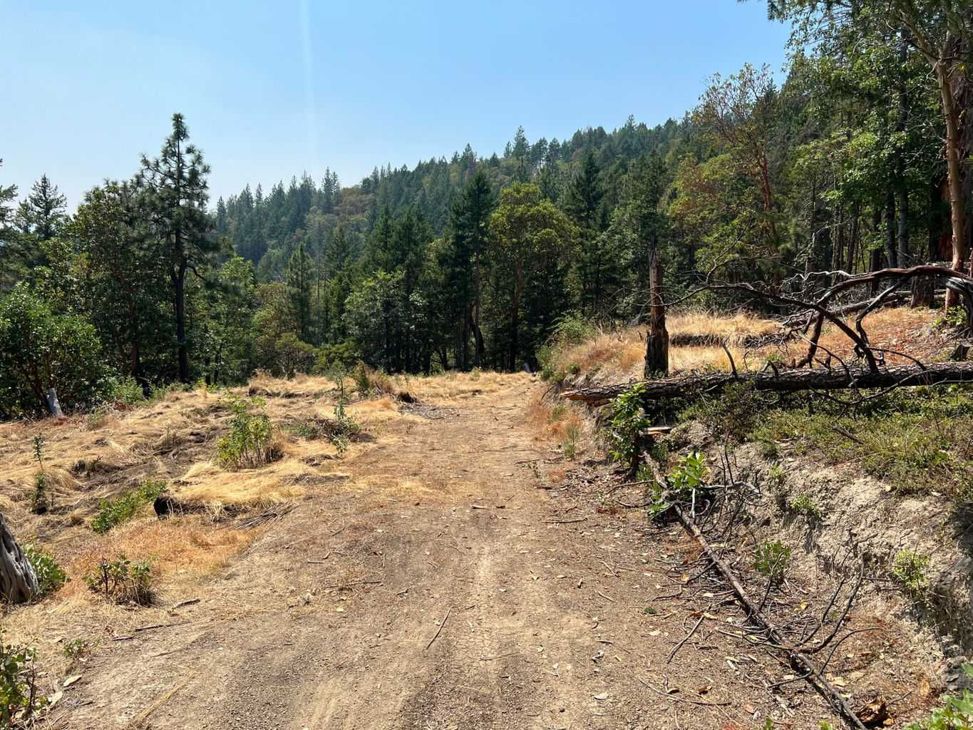 Arrowhead Pass, Jacksonville, OR, 97530 - Thumbnail 3