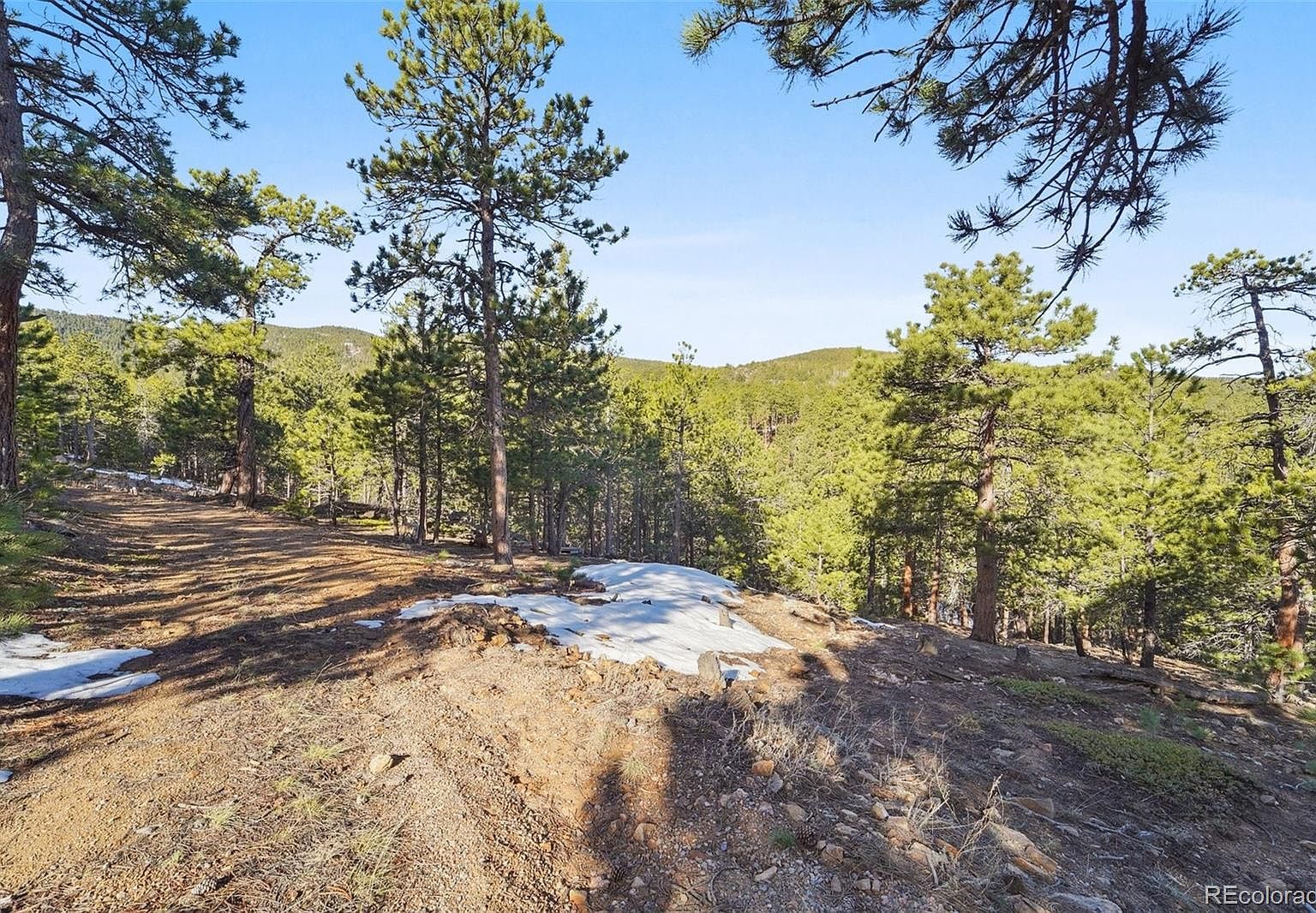 854 Crescent Lake Rd #29 Golden, CO 80403 - Thumbnail 3