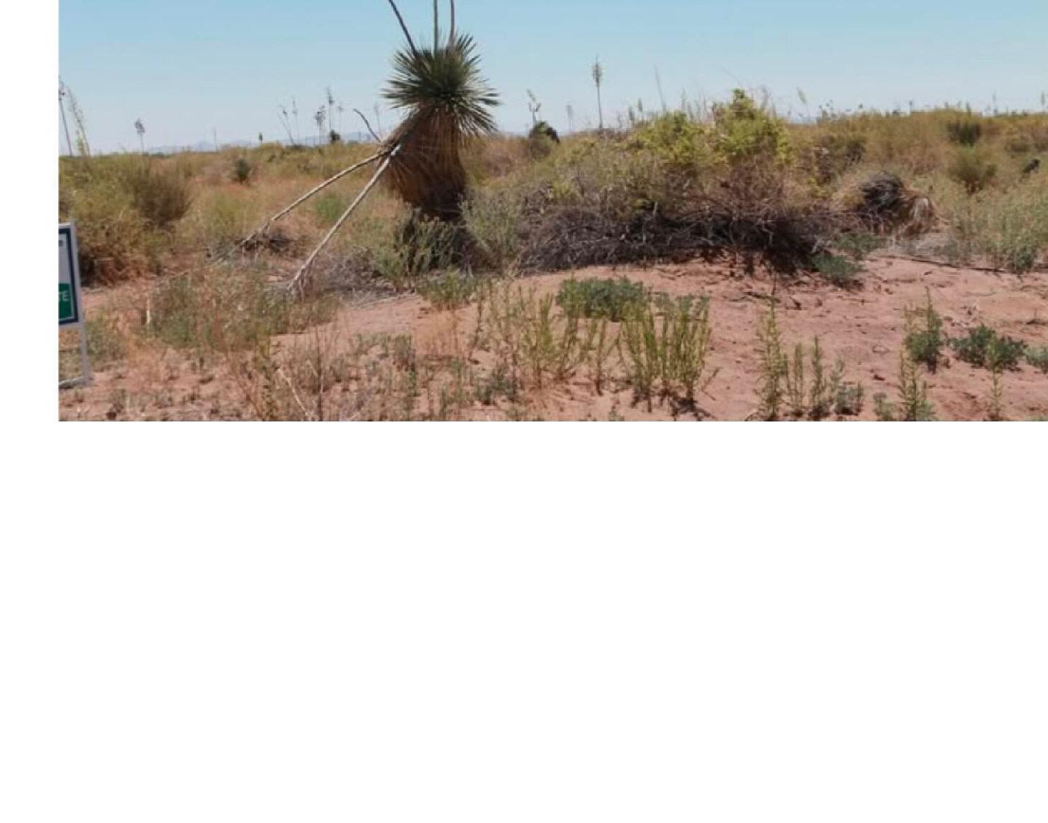 0 Paintbrush Rd SW Deming, NM 88030 - Thumbnail 3