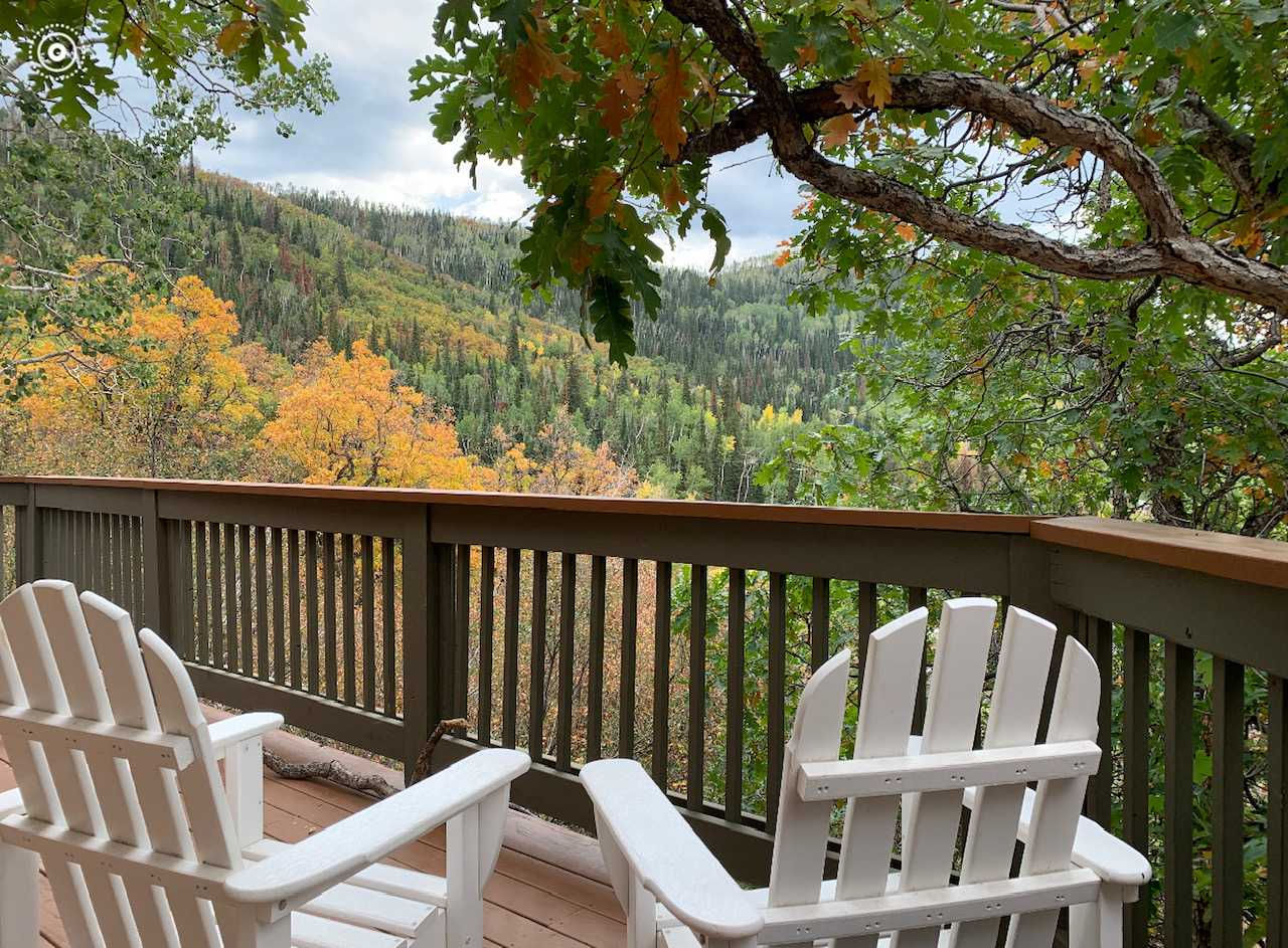 2990 Laurel Lane, Steamboat Springs, CO, USA, 80487 - Thumbnail 3